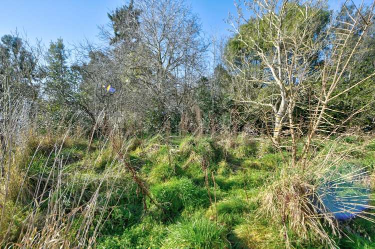 14 Durham Street Tapanui_17