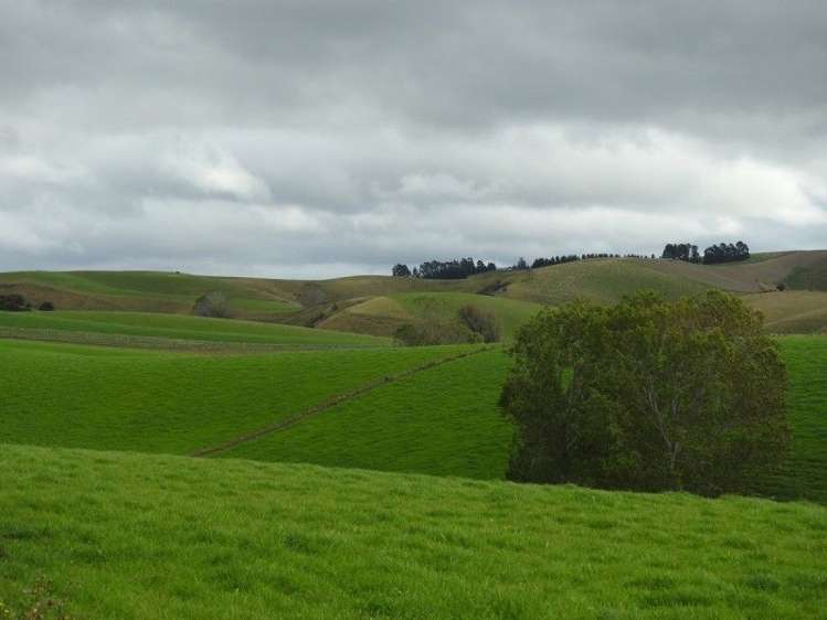 108 Mill View Road Lawrence_2