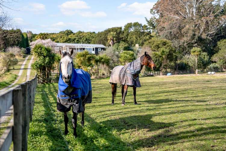 652e Welcome Bay Road Kaimai_25