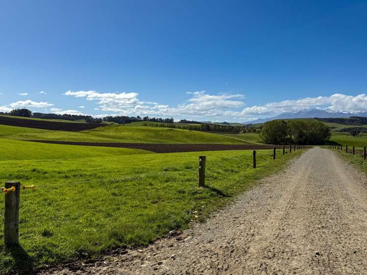473 Clifden Gorge Road Eastern Bush_15