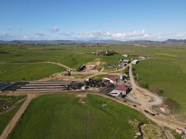 340 Pukekapia Road Rotongaro_3