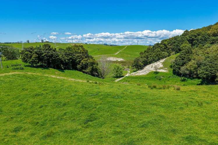 103 Mountain Road Kaiwaka_14