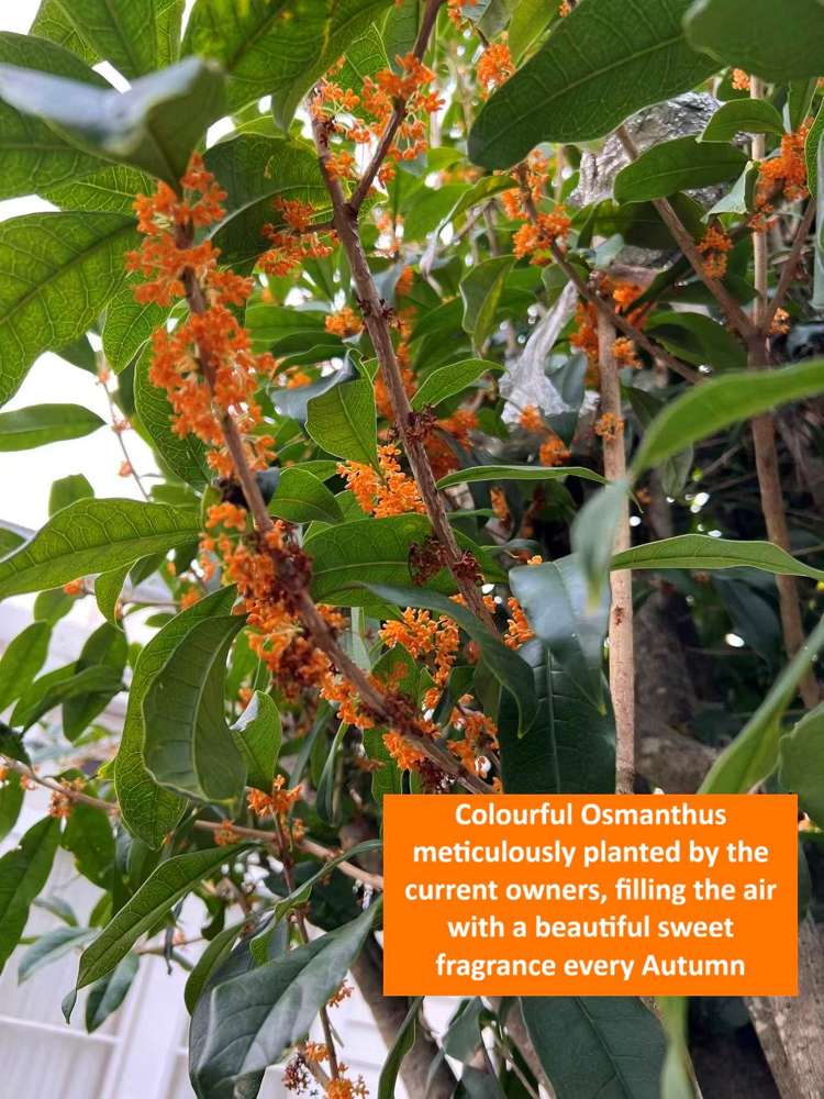 57C Point View Drive_4