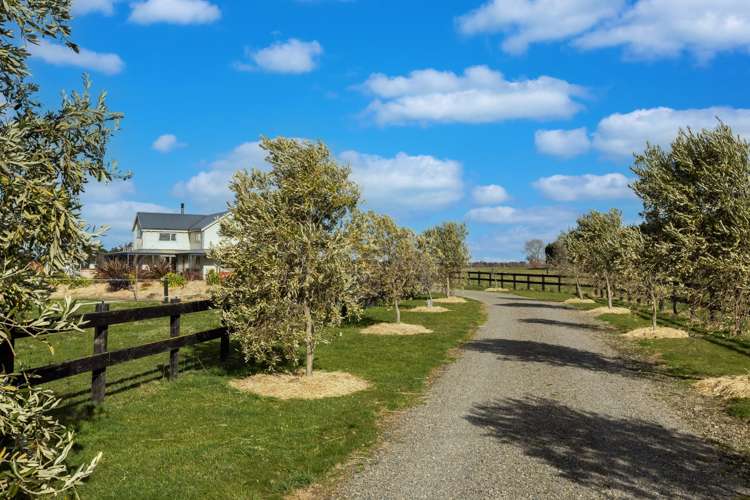 256 Stokes Road Balcairn_21