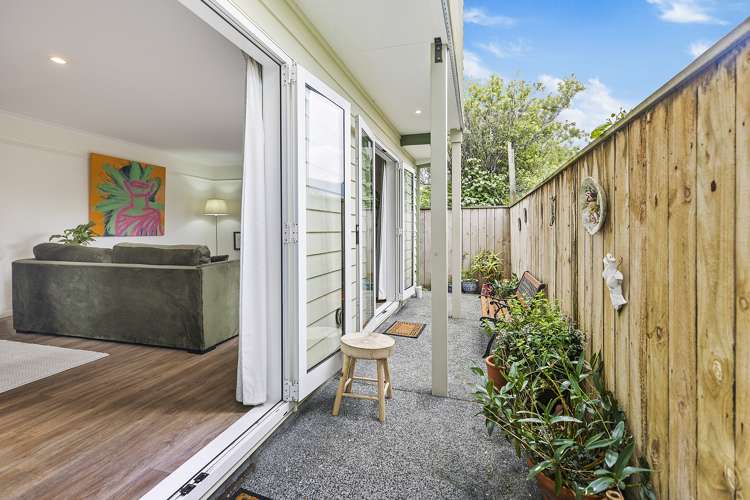 23 Donald Mclean Street Newtown_1