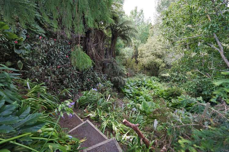 11 Mcdowall Place Queenwood_27