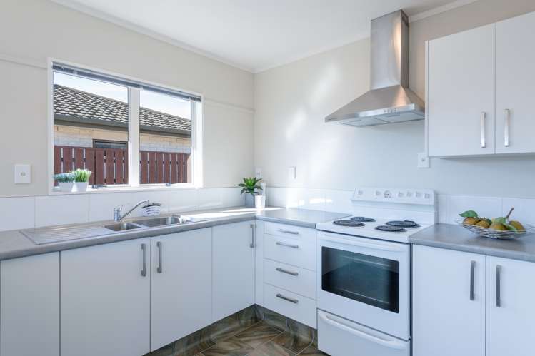 369 Nayland Road Stoke_3