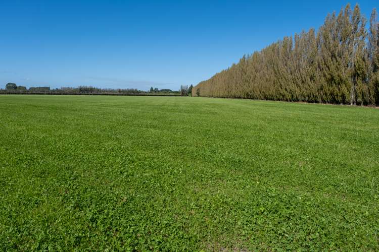 Racecourse Road Allenton_5