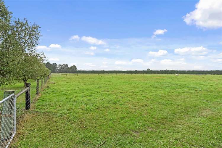 209 Mount Thomas Road Fernside_32