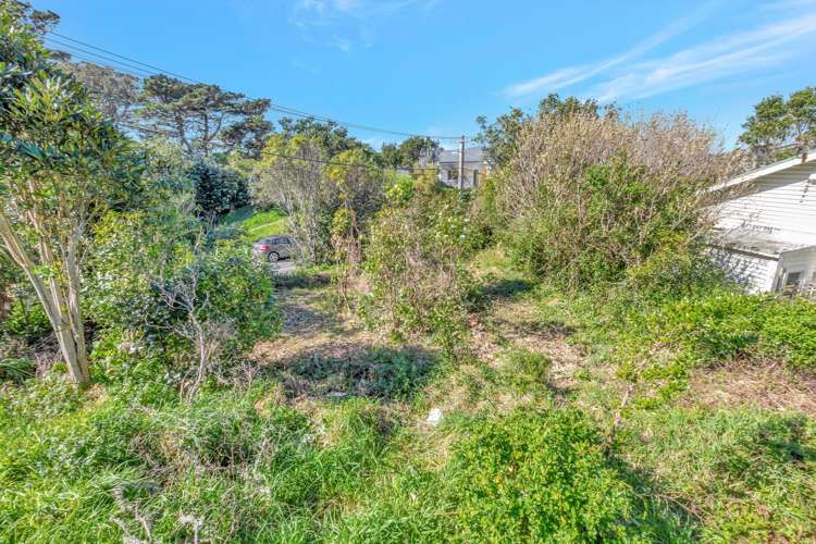 1b Connaught Terrace Brooklyn_5