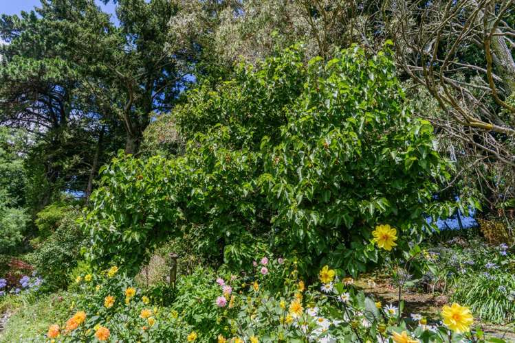 138 Mount Herbert Road Waipukurau and Surrounds_17