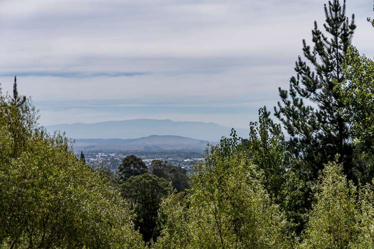 234a Durham Drive Havelock North_1