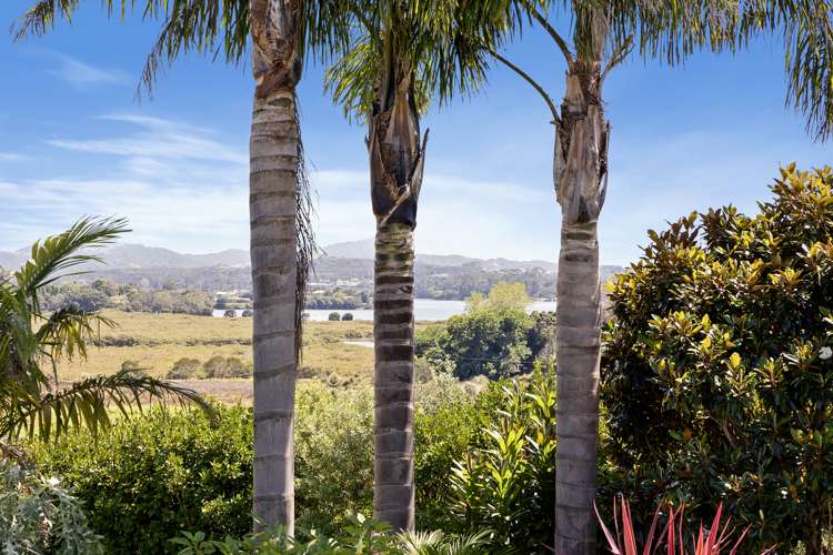 74 Avocado Lane Mangawhai_23