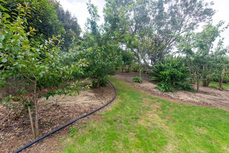 58 Puketutu Road Bombay_20