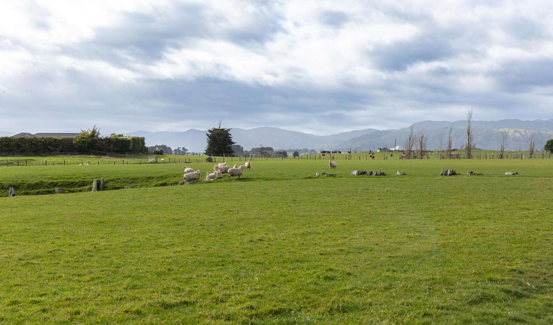 234 Kukutauaki Road Koputaroa_0