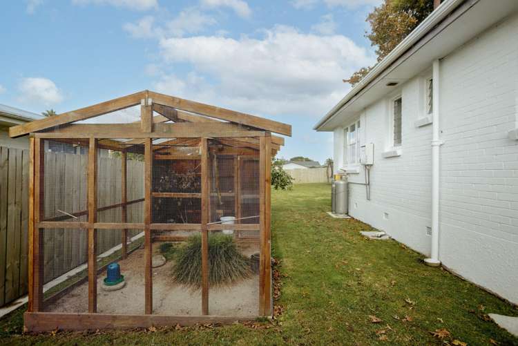 9 Gordon Street Te Puke_16