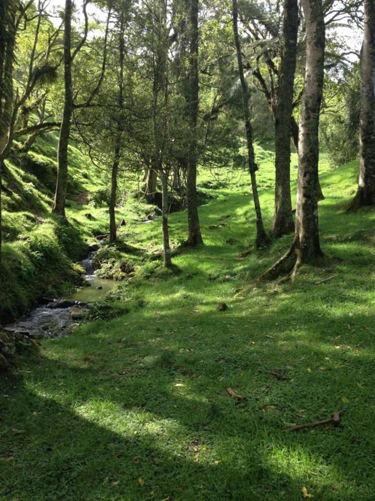 663 Maungakawa Road Te Miro_7