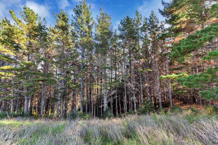 Campbell Road Parua Bay_7