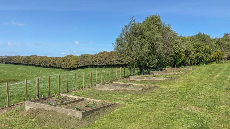 795 Island Block Road Te Kauwhata_17