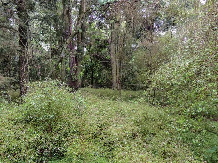 52 Rae Road Geraldine_21