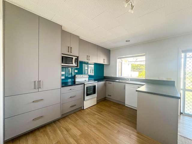 209 Kuranui Street Thames_3