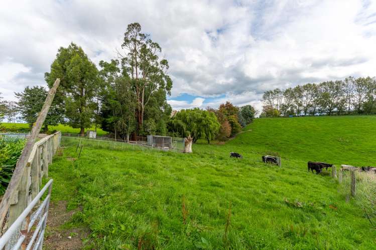 9 Hillview Place Pleasant Point_29