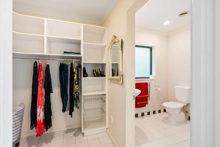 100 Maui Pomare Road Nikau Valley_21