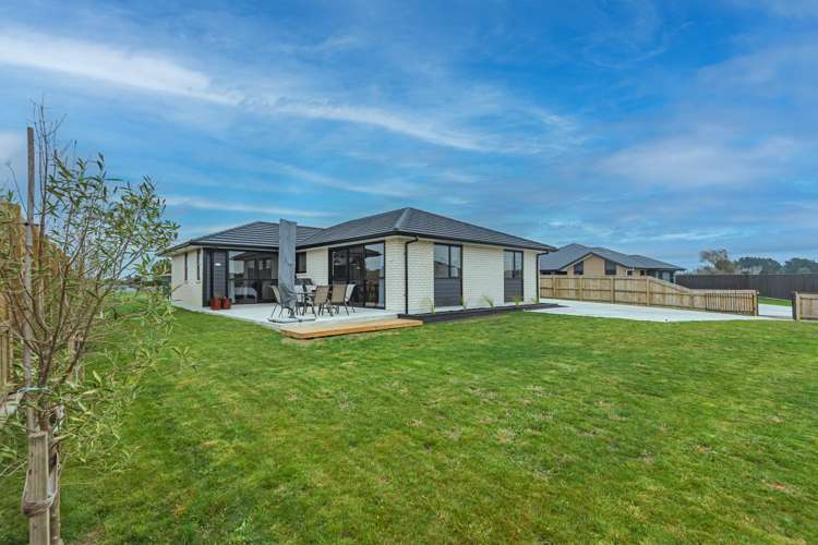 23 George Street Bulls_15