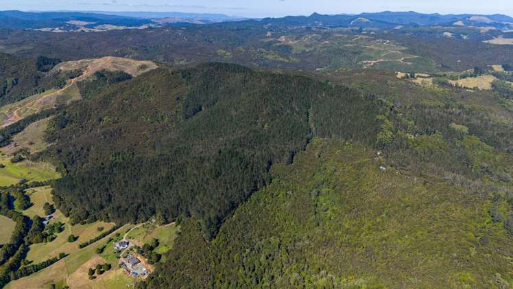 Lot 2 Goshen Valley Road Mangonui_8