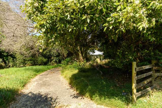 807 Whakamarama Road Whakamarama_4