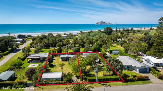 Quintessential Kiwi – potential on two titles!