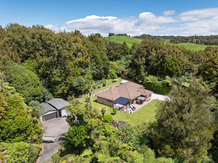 762A Whakamarama  Road Whakamarama_19