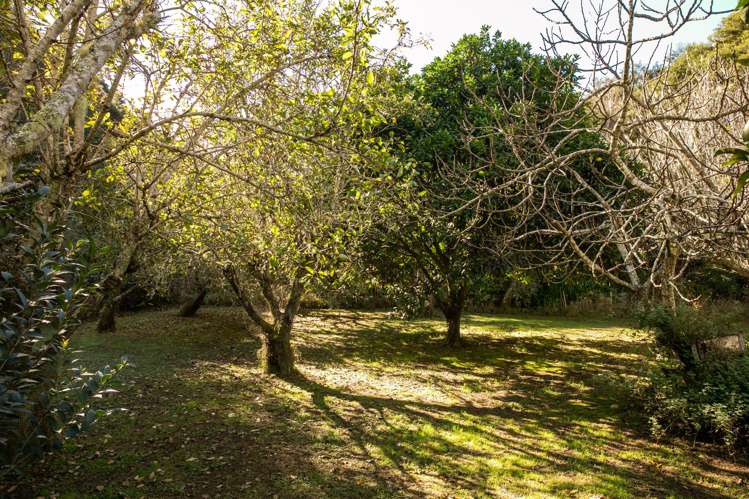 449 Kauaeranga Valley Rd Thames_26