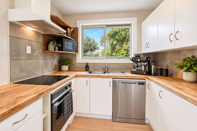 6 Mill Road Leithfield_4