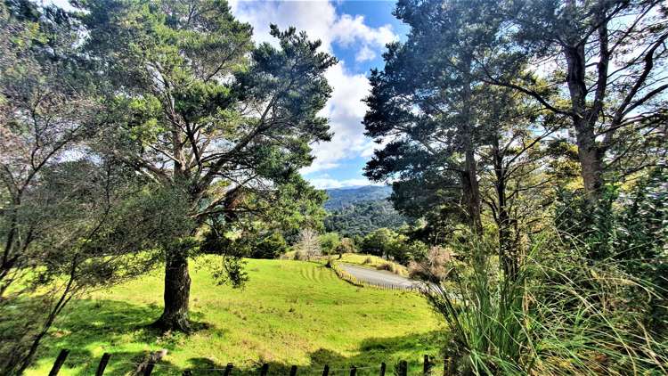 585 West Coast Road Kohukohu_5