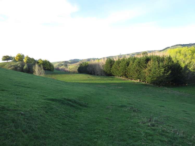 1629 Weston-Ngapara Road Enfield and Surrounds_14