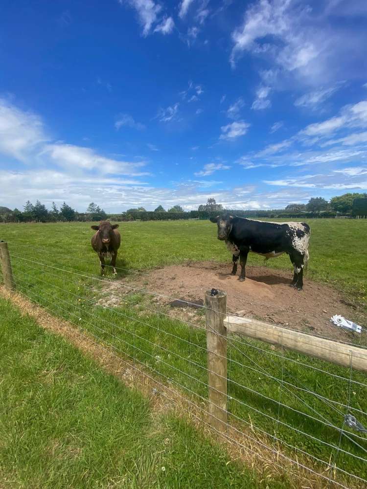 Lot 2/120 Orion Road East Makarewa_3