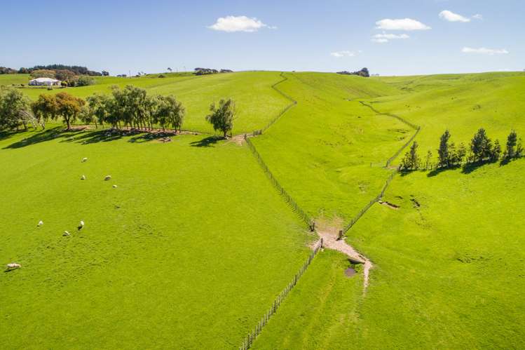 465 Makino Road Feilding_10