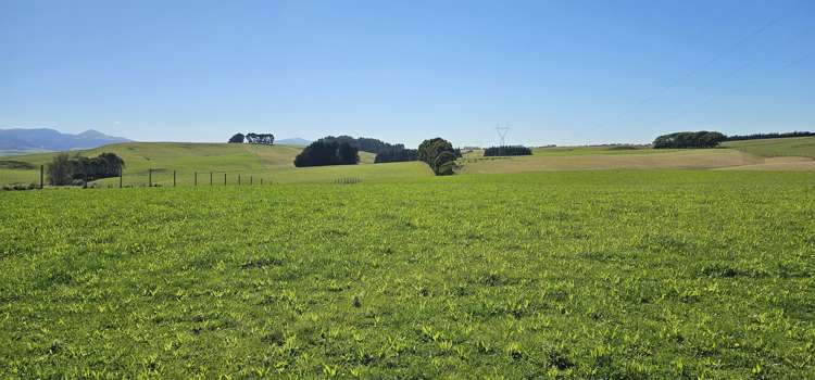 1550 Waimumu Road Te Tipua_10