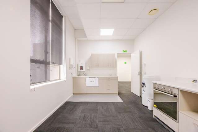 1 Dickens Street South Napier South_4