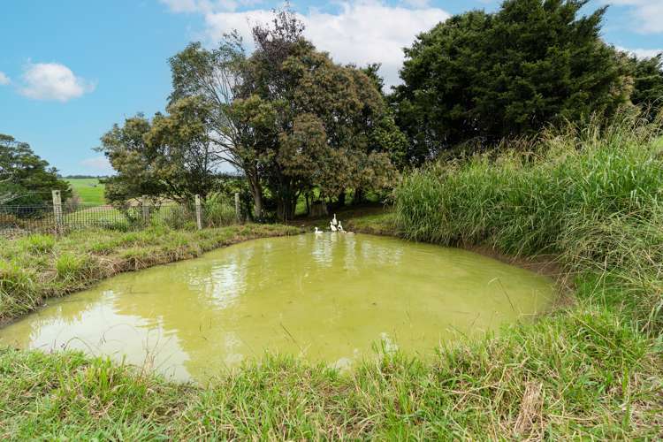 2433 Mangakahia Road Pakotai_32