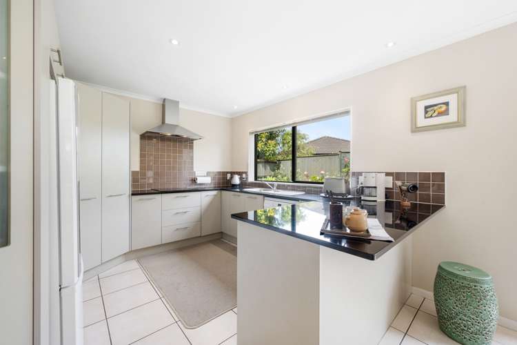 6 Tornish Drive Flat Bush_10