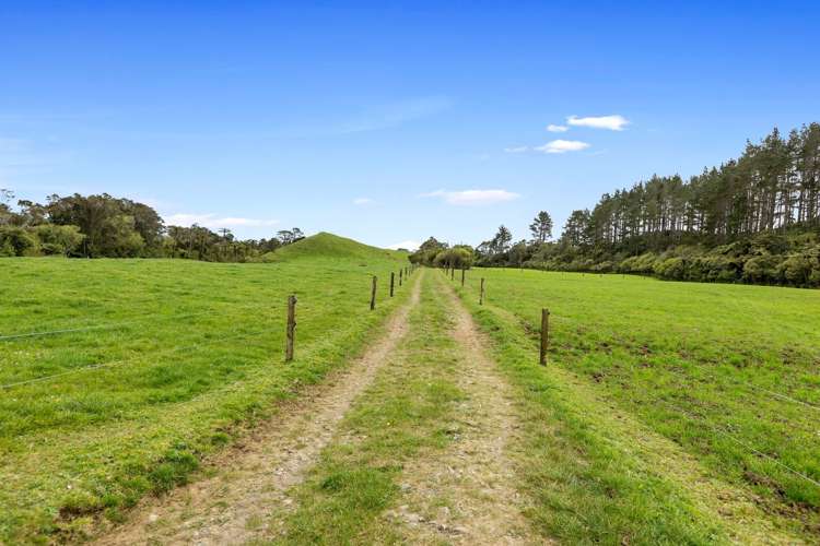 655 Plymouth Road Koru_10