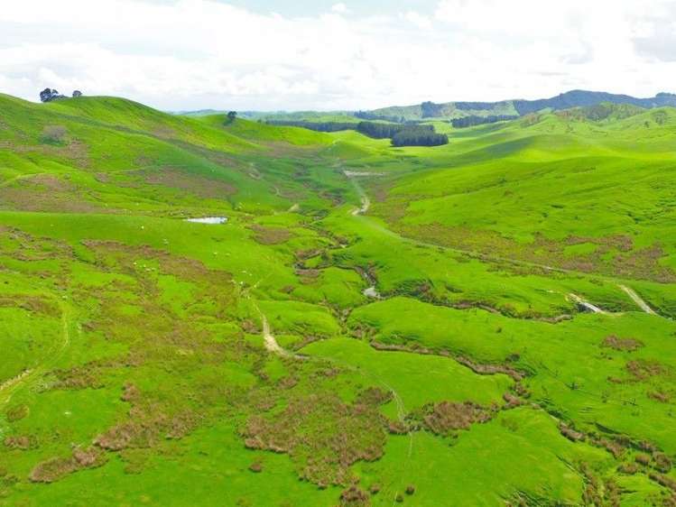 743 Ngaumu Road Wainuioru_9