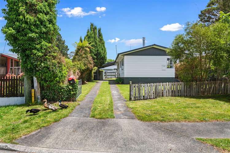 45 Collie Drive Pukehangi_14