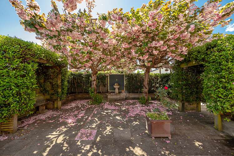 11 Roussel Place Springlands_18