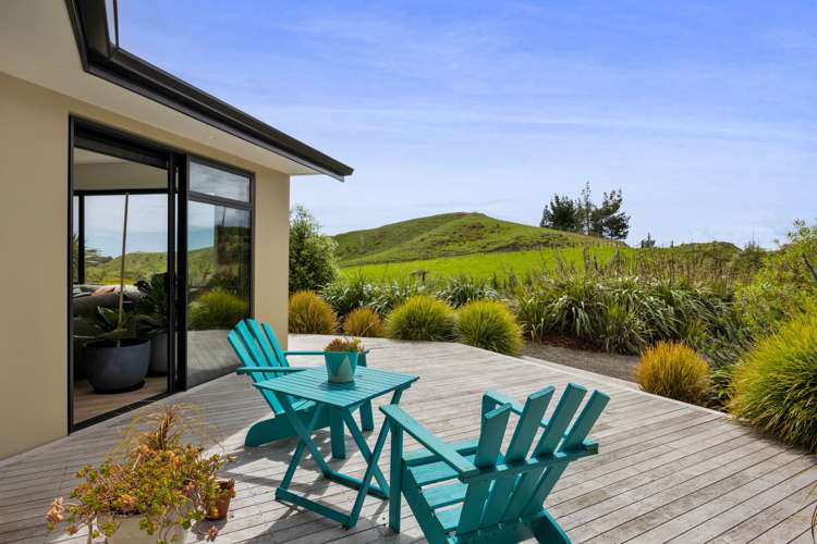 511 Plymouth Road Koru_6