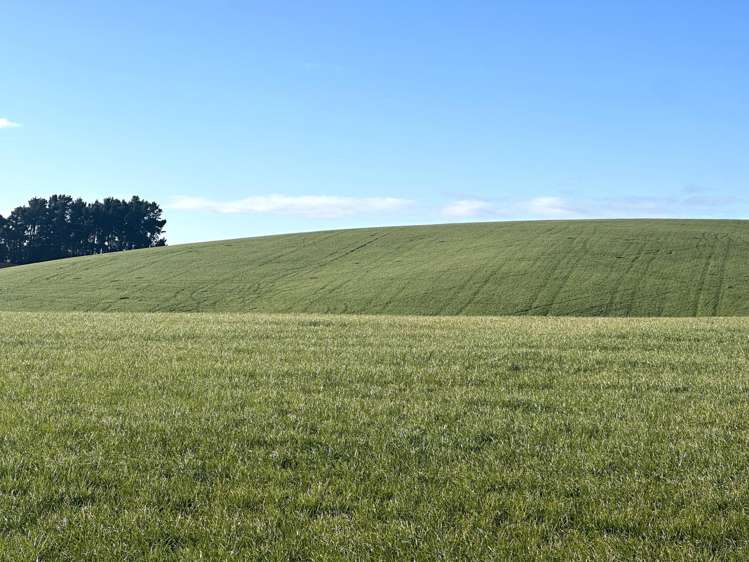 264 Dumfries Road, Taumata Clinton_16