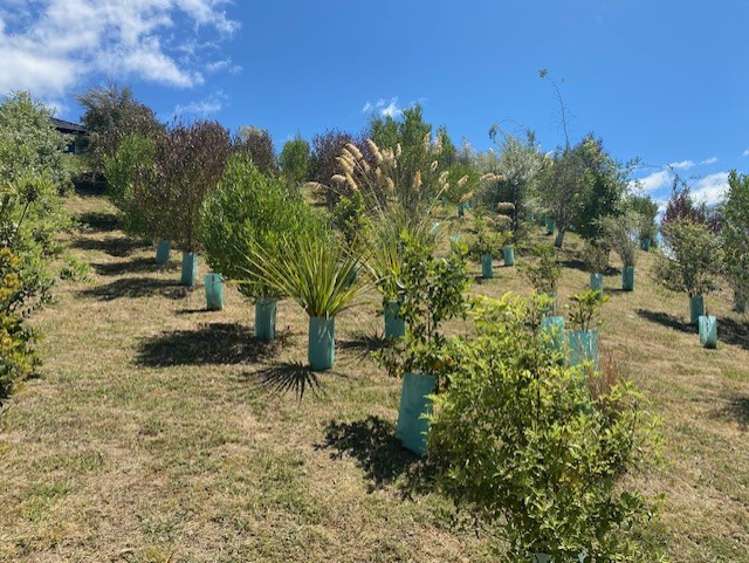 15 Pineview Way Motueka_21