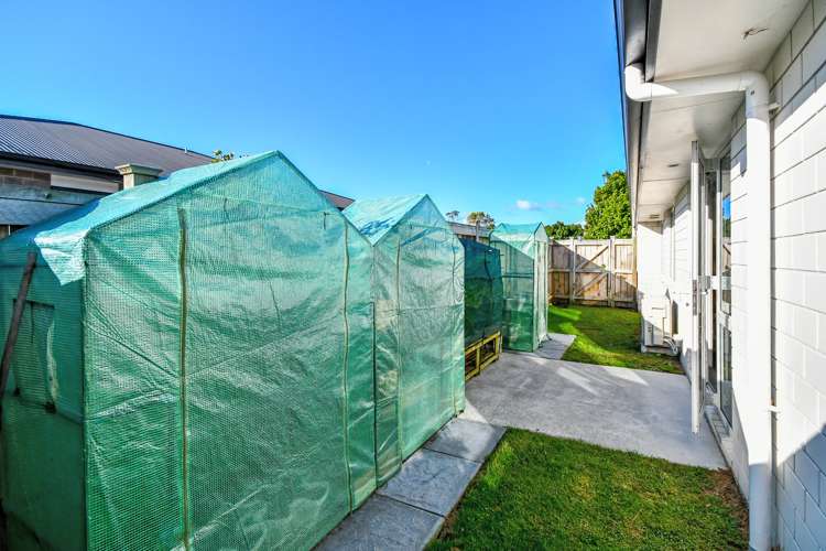 42 Blunt Road Te Kauwhata_26